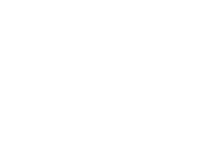 Liebes Brautpaar,  der Traum eines Menschen die sich lieben, ihre Hochzeit in einem wunderschönen Haus zu feiern, können sie sich bei uns  in Greifenhain erfüllen. In unserem Hochzeits – Palast finden sie den Rahmen  für den schönsten Tag in ihrem Leben. Hier in diesem Haus im Grünen, ganz für ihre Festlichkeit konzipiert, können sie mit ihren Gästen ungestört feiern. Nach der Trauung, vielleicht im Schwindpavillon, kommen sie mit einer Kutsche oder mit einem silbernen Audi A8 und ihren Gästen auf den großen Vorhof und werden mit Musik empfangen. Frau Pufahl fordert sie dann auf, einen Baumstamm  gemeinsam zu zersägen. Von ihren Eltern wird ihnen Brot und Salz gereicht. Dann läuten die Hochzeitsglocken und beim anschließenden Hochzeitsmarsch gehen wir gemeinsam an die festlich eingedeckte Tafel. Sie werden von einem Team betreut, das auf eine 10 Jährige Erfahrung beim Ausrichten von Festlichkeiten zurückgreifen kann und ihnen  fast alle Wünsche erfüllt. Bei gutem Wetter können sie im Garten und am Pool  schöne Stunden verbringen. Das Brautpaar hat die Möglichkeit in einer  großzügigen Hochzeitssuite zu wohnen. Die Eltern des Brautpaares und die Gäste übernachten im  ca. 800m entfernten Anecon Hotel. Ein Bus steht ihnen zur Verfügung, der die Gäste zu jeder Zeit fährt.